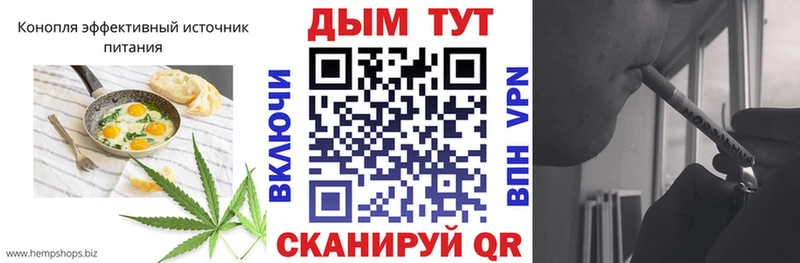 площадка клад  Дорогобуж  Cannafood конопля 