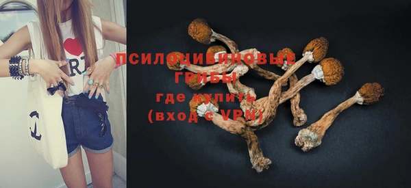 твердый Алзамай