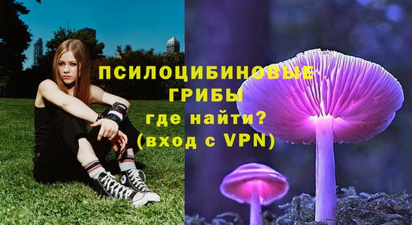бошки Аркадак