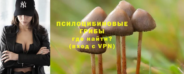 твердый Алзамай