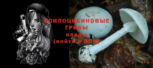 круглые Алексеевка