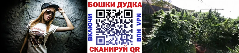 Шишки марихуана гибрид  Дорогобуж 